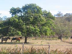 vue terrains tamarindo costa rica